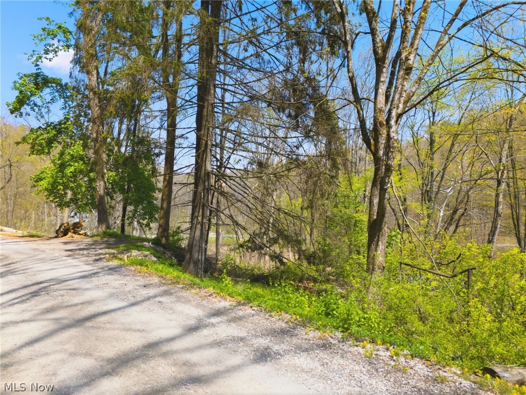 7166 Dove Road SW Carrollton OH 44615