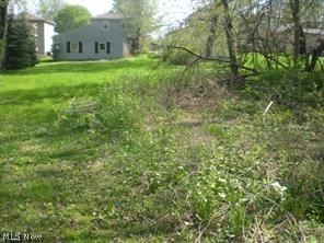 172 & 173 Belcher Avenue Barberton OH 44203