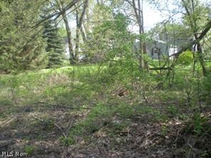172 & 173 Belcher Avenue Barberton OH 44203