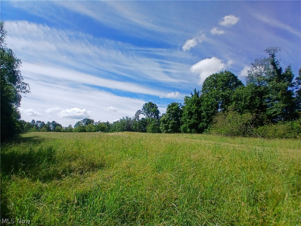 868 Township Road 278 Bergholz OH 43908