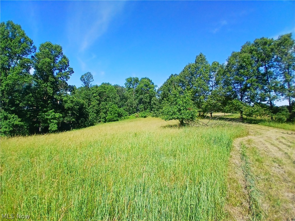 868 Township Road 278 Bergholz OH 43908