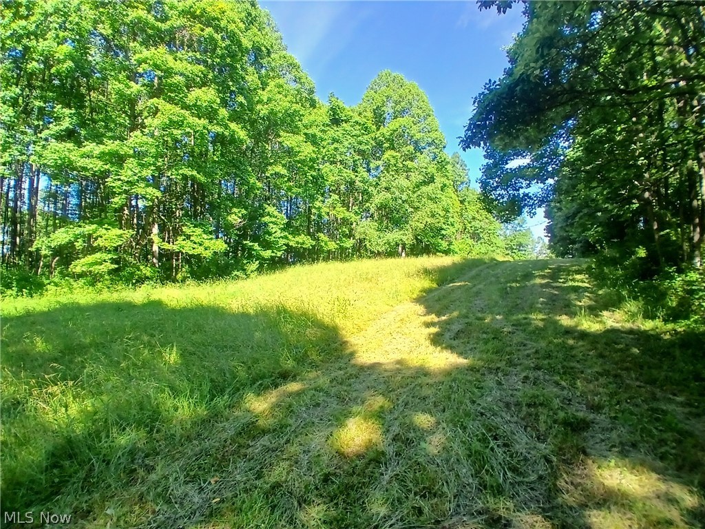 868 Township Road 278 Bergholz OH 43908