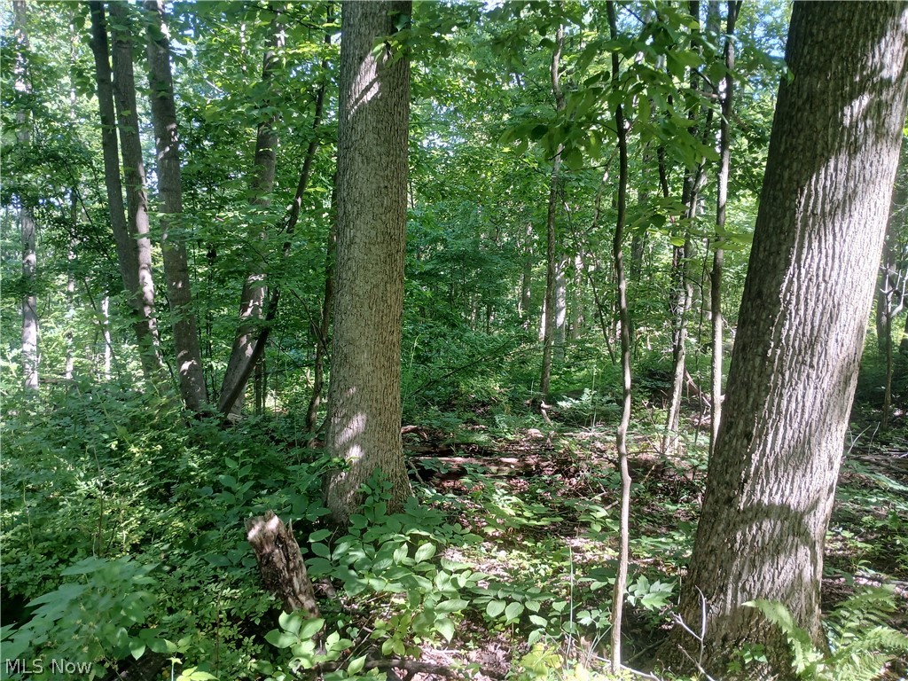 868 Township Road 278 Bergholz OH 43908