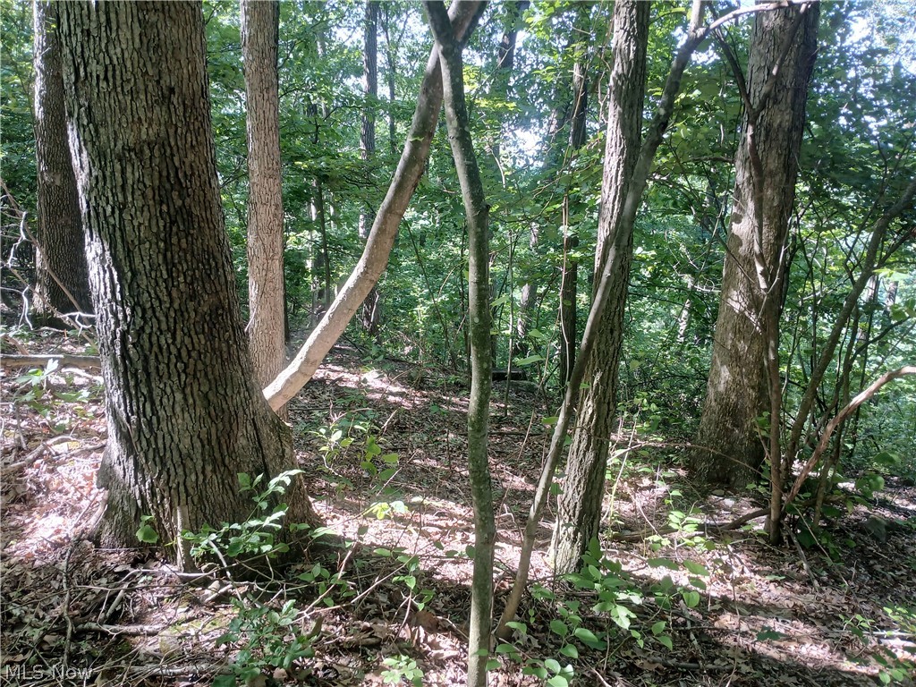 868 Township Road 278 Bergholz OH 43908