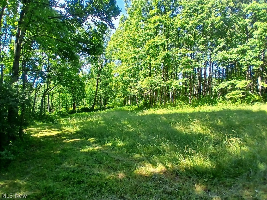 868 Township Road 278 Bergholz OH 43908