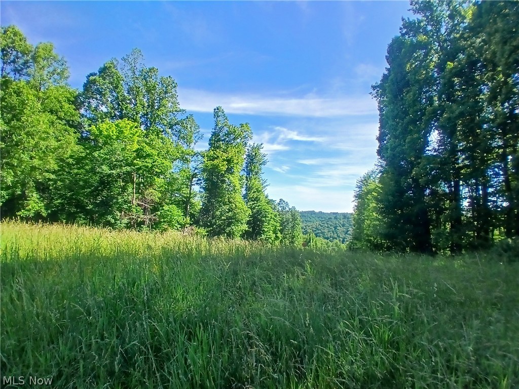 868 Township Road 278 Bergholz OH 43908
