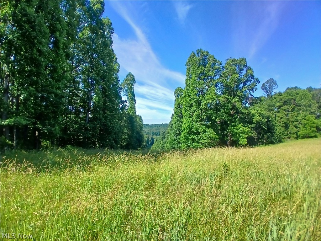 868 Township Road 278 Bergholz OH 43908