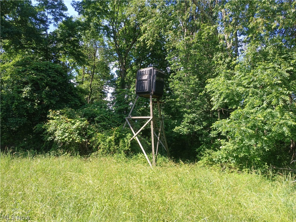 868 Township Road 278 Bergholz OH 43908