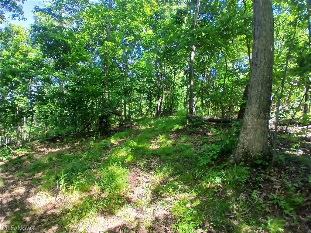 868 Township Road 278 Bergholz OH 43908