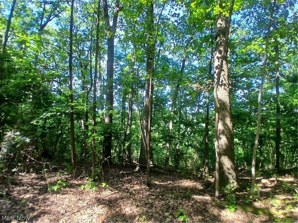 868 Township Road 278 Bergholz OH 43908