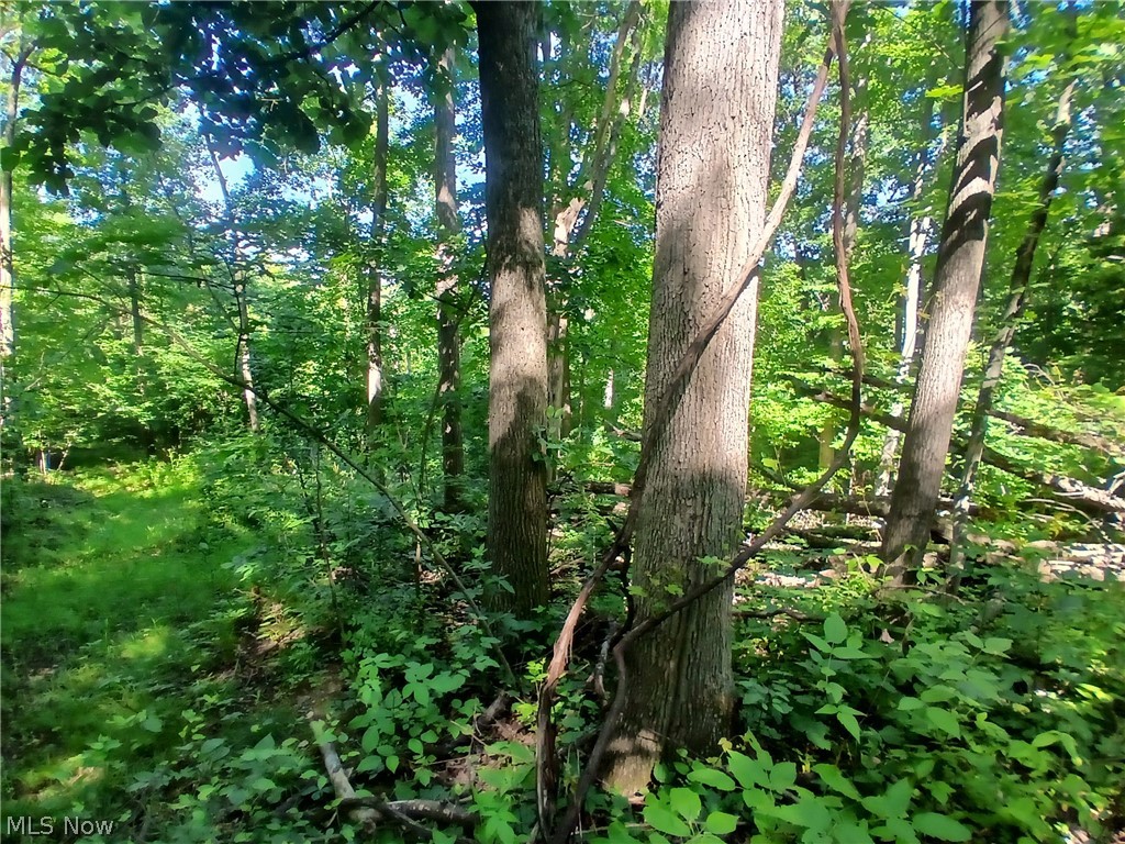 868 Township Road 278 Bergholz OH 43908