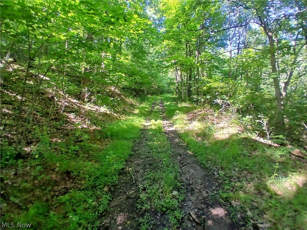 868 Township Road 278 Bergholz OH 43908
