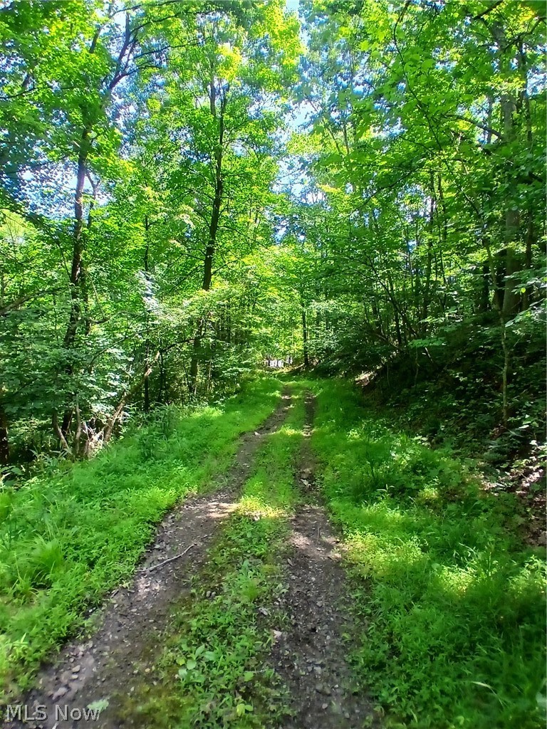 868 Township Road 278 Bergholz OH 43908