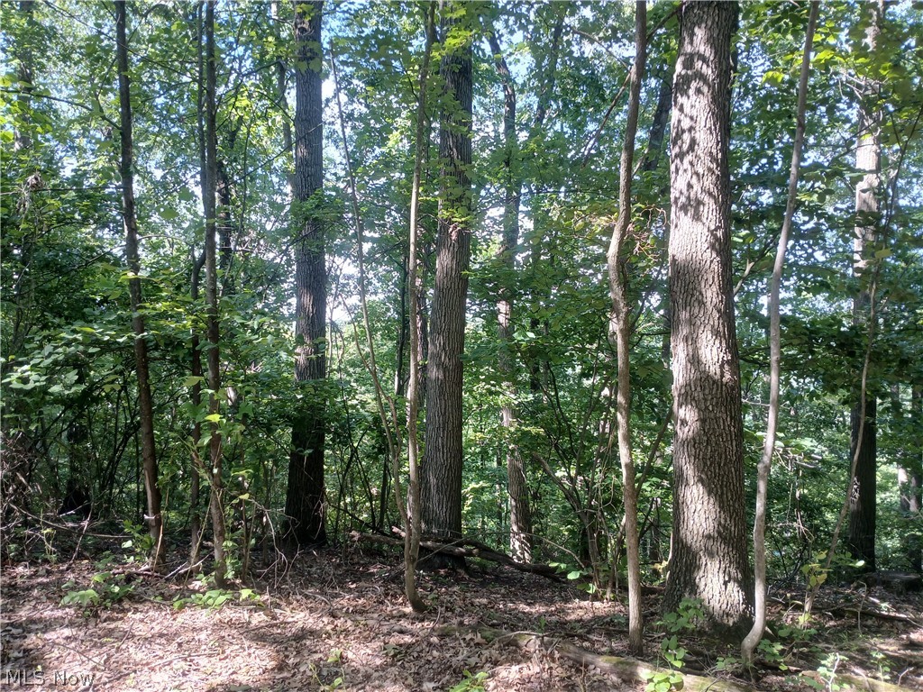 868 Township Road 278 Bergholz OH 43908