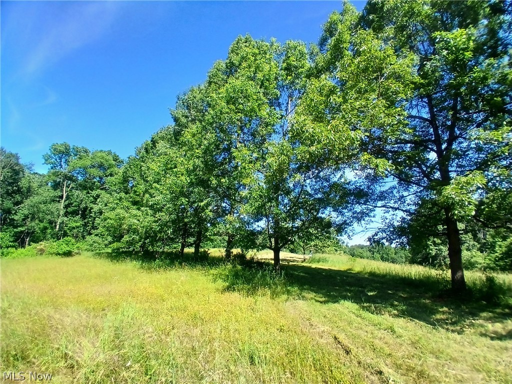 868 Township Road 278 Bergholz OH 43908