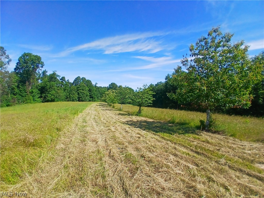 868 Township Road 278 Bergholz OH 43908