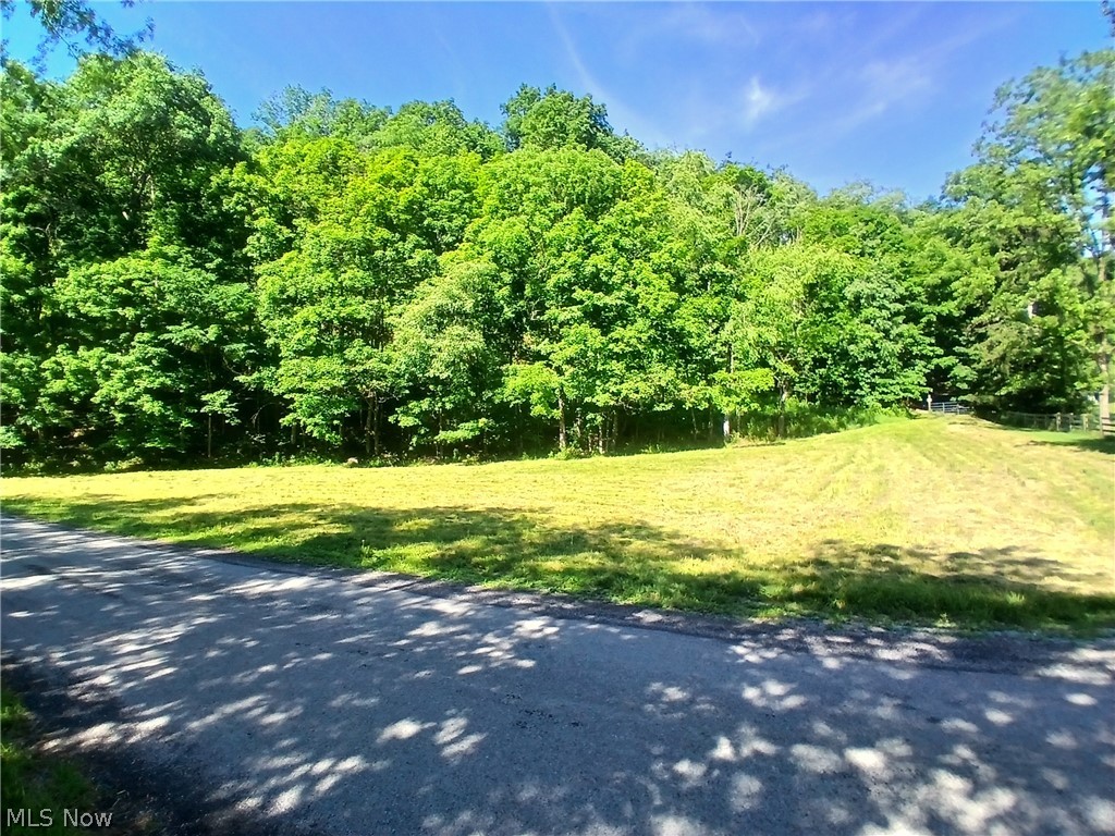 868 Township Road 278 Bergholz OH 43908