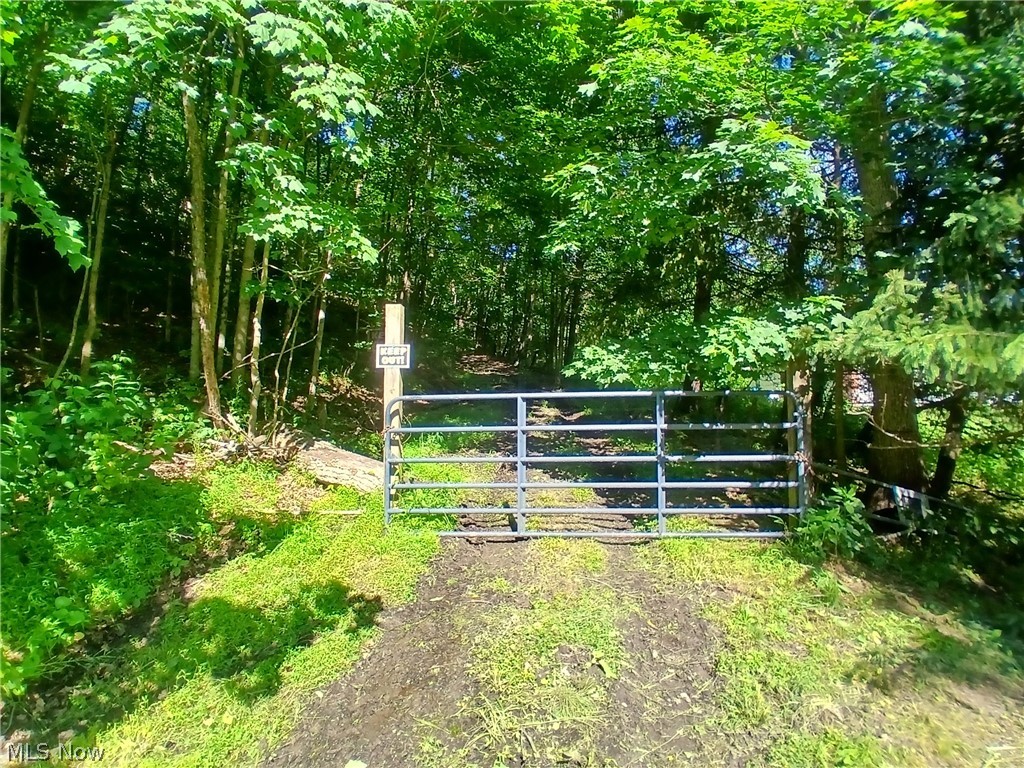 868 Township Road 278 Bergholz OH 43908