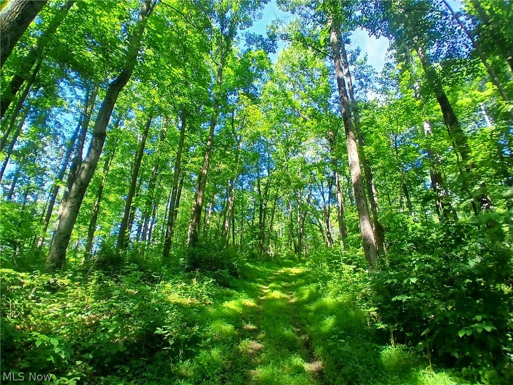 868 Township Road 278 Bergholz OH 43908