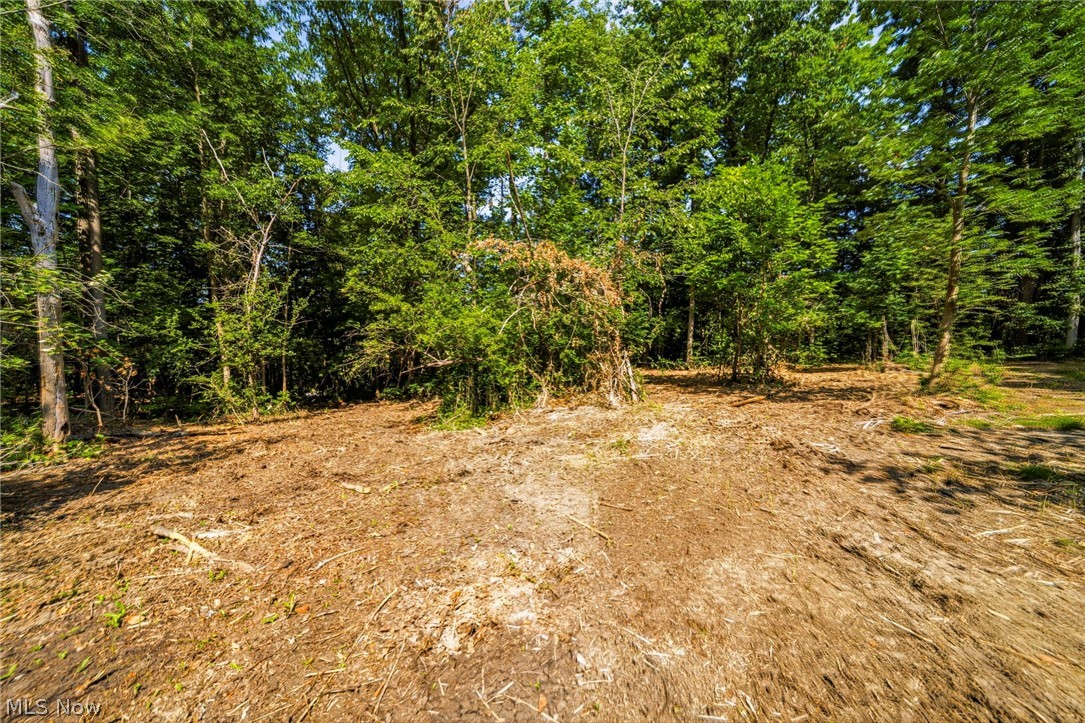 Hanna Road Willoughby Hills OH 44094
