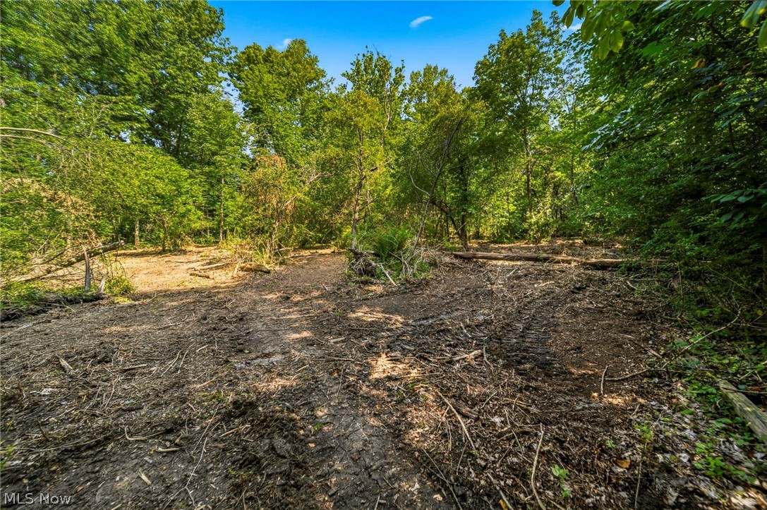 Hanna Road Willoughby Hills OH 44094