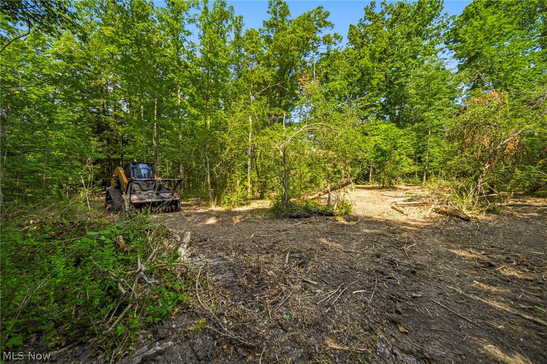 Hanna Road Willoughby Hills OH 44094