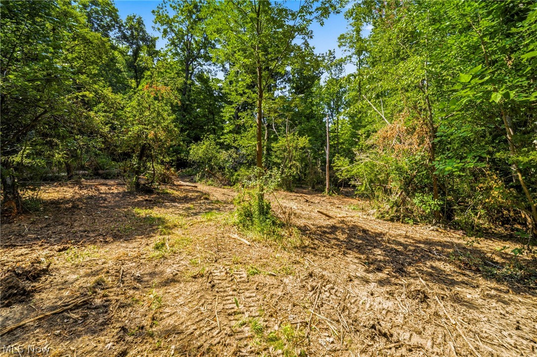 Hanna Road Willoughby Hills OH 44094