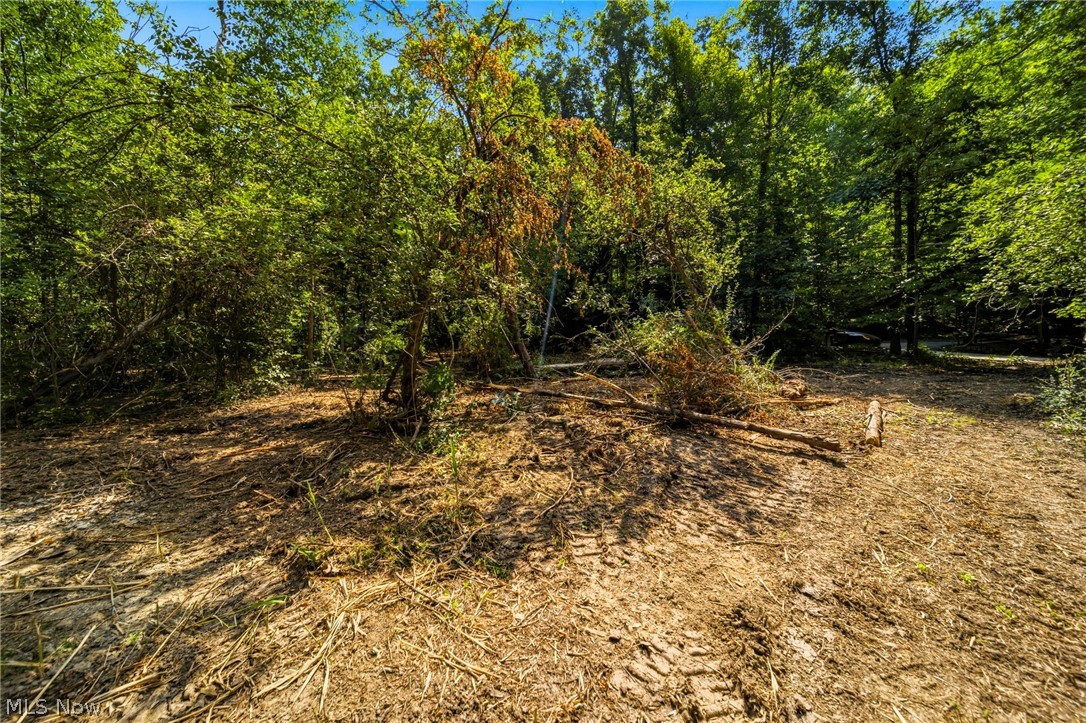 Hanna Road Willoughby Hills OH 44094