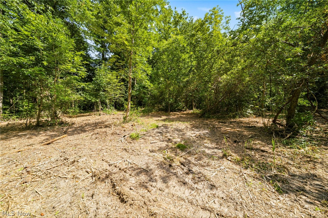 Hanna Road Willoughby Hills OH 44094