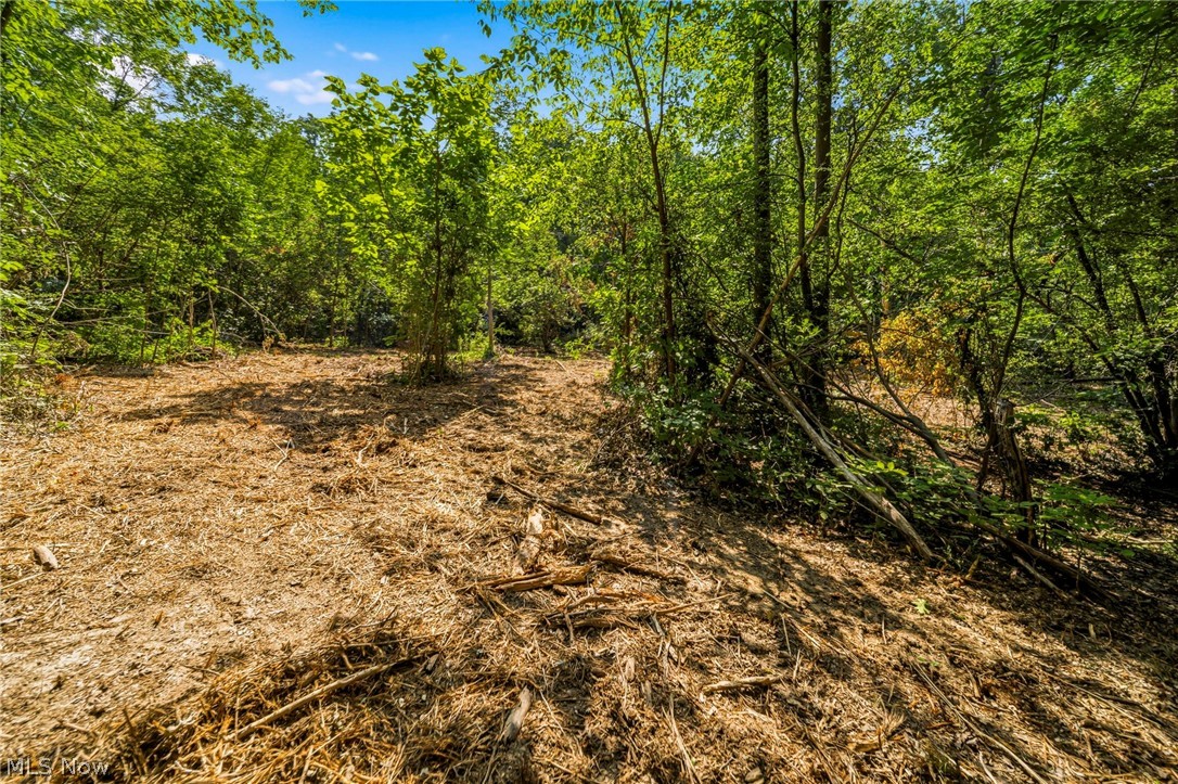 Hanna Road Willoughby Hills OH 44094