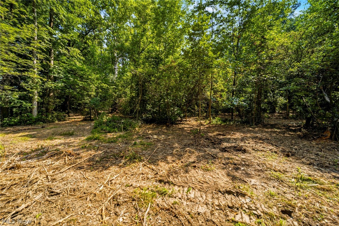 Hanna Road Willoughby Hills OH 44094