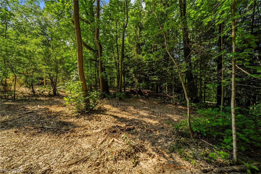 Hanna Road Willoughby Hills OH 44094