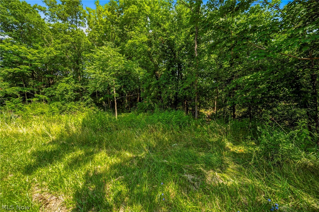 Hanna Road Willoughby Hills OH 44094