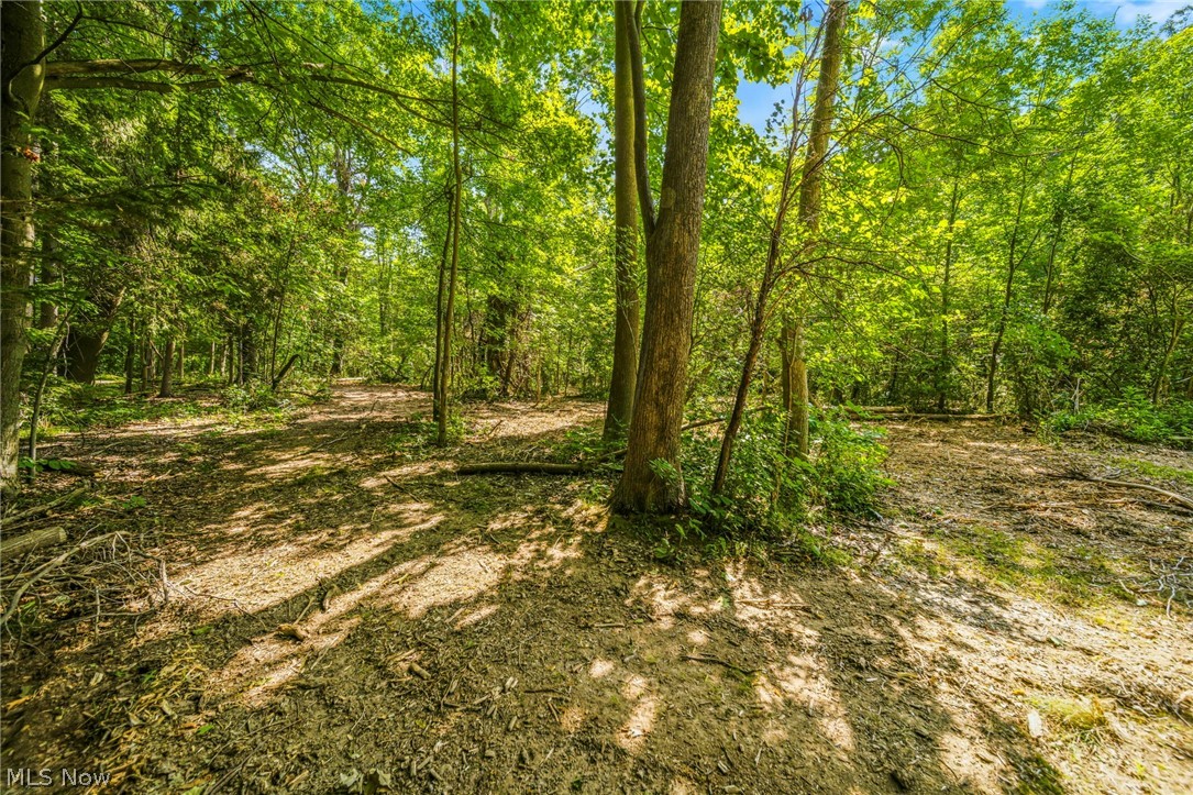Hanna Road Willoughby Hills OH 44094