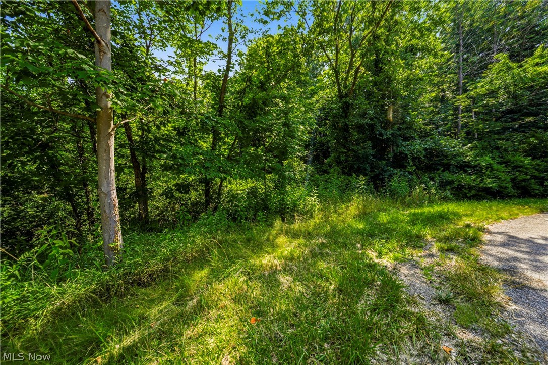 Hanna Road Willoughby Hills OH 44094