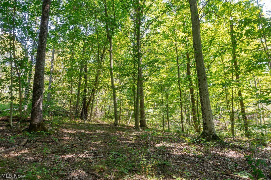 0 County Road 269 Glouster OH 43730