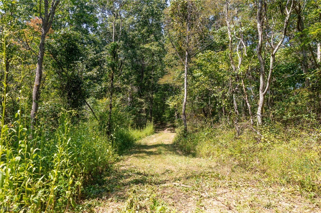 0 County Road 269 Glouster OH 43730