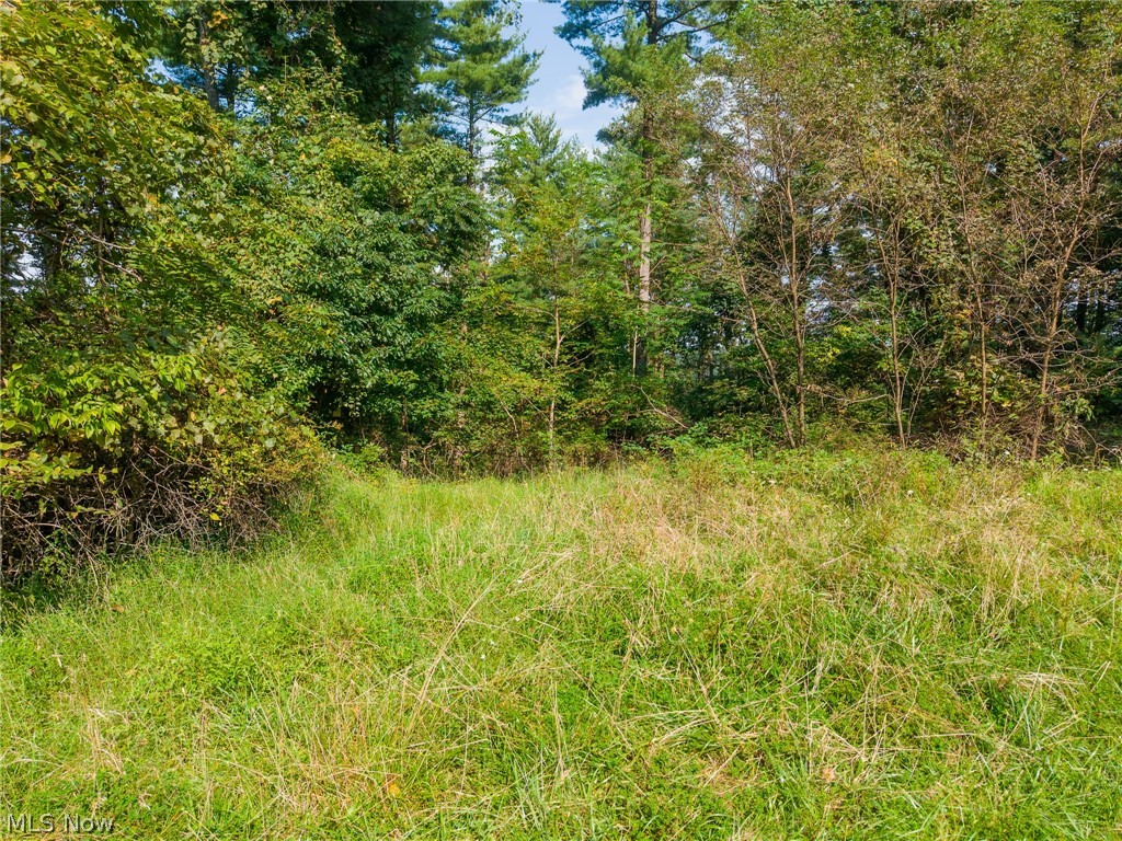 0 County Road 269 Glouster OH 43730