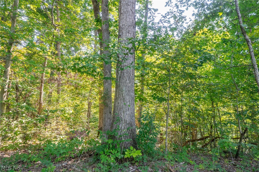 0 County Road 269 Glouster OH 43730