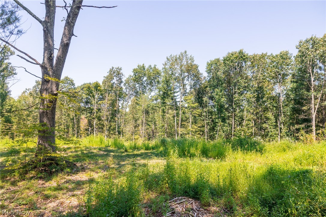 0 County Road 269 Glouster OH 43730
