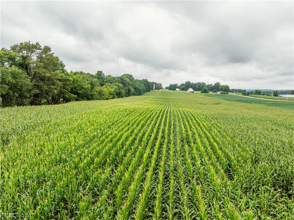 State Route 226 Shreve OH 44676