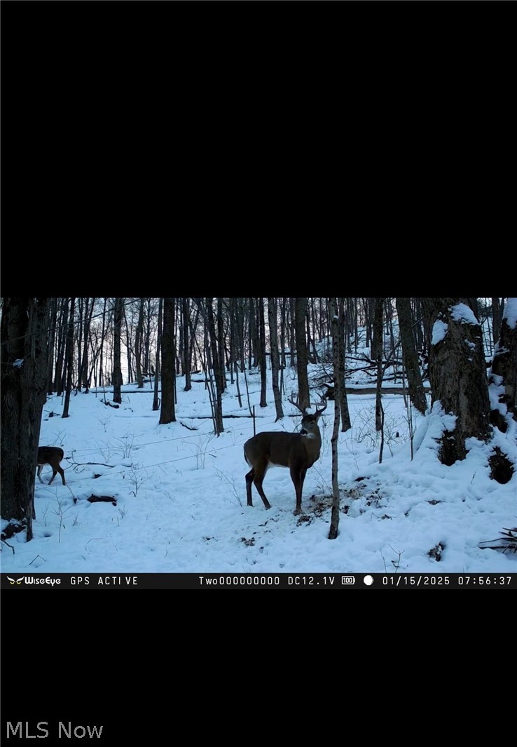 Crabapple Road Alledonia OH 43902