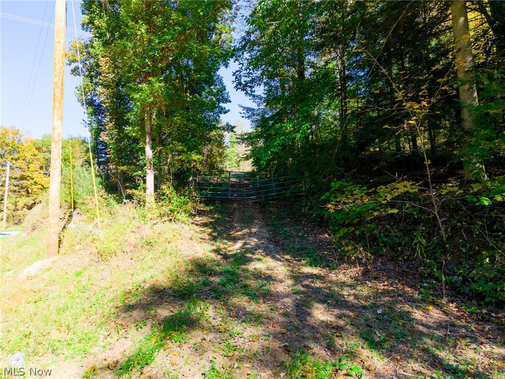 Crabapple Road Alledonia OH 43902