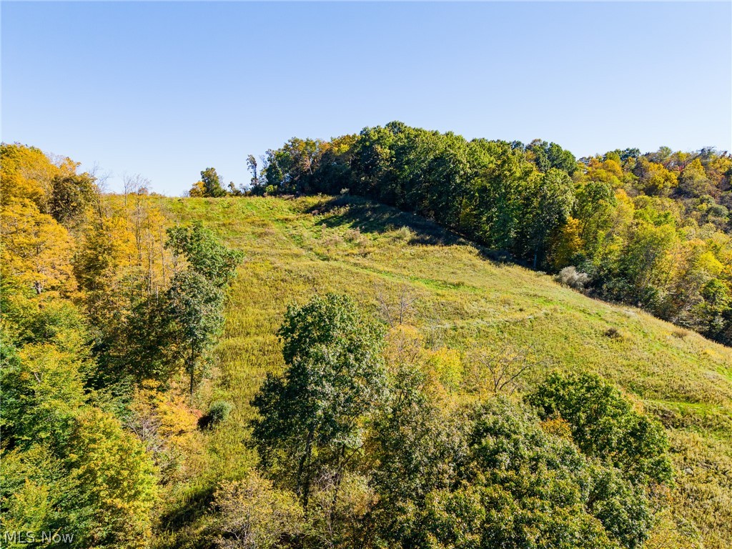 Crabapple Road Alledonia OH 43902