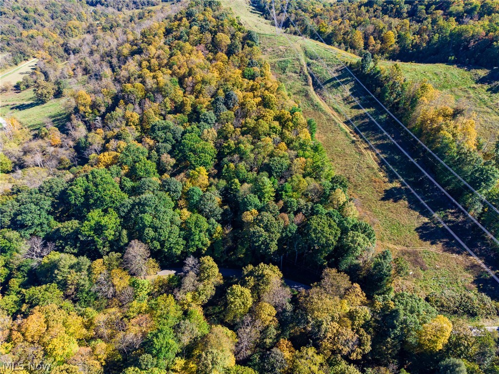 Crabapple Road Alledonia OH 43902