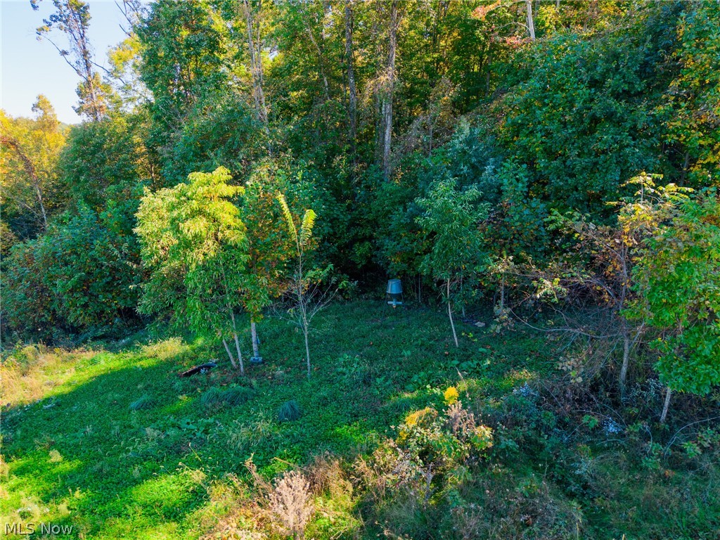 Crabapple Road Alledonia OH 43902