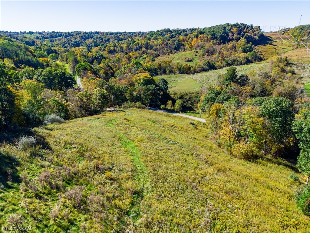 Crabapple Road Alledonia OH 43902