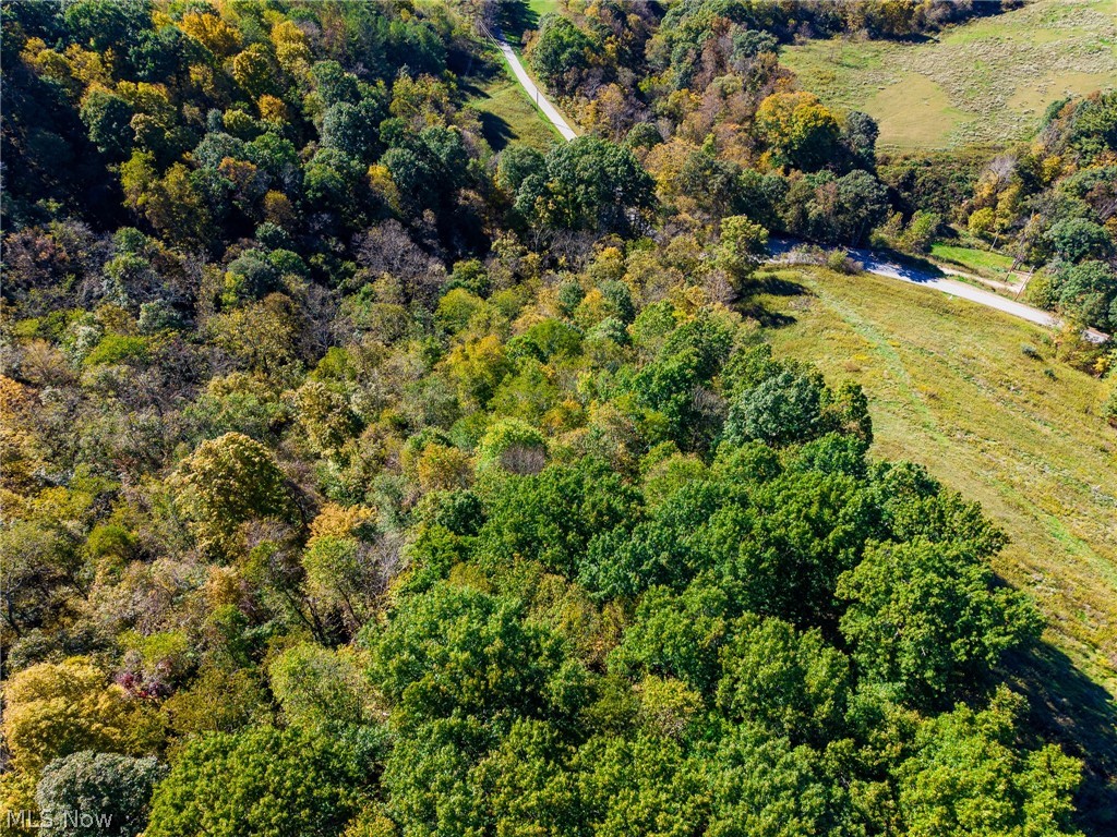 Crabapple Road Alledonia OH 43902