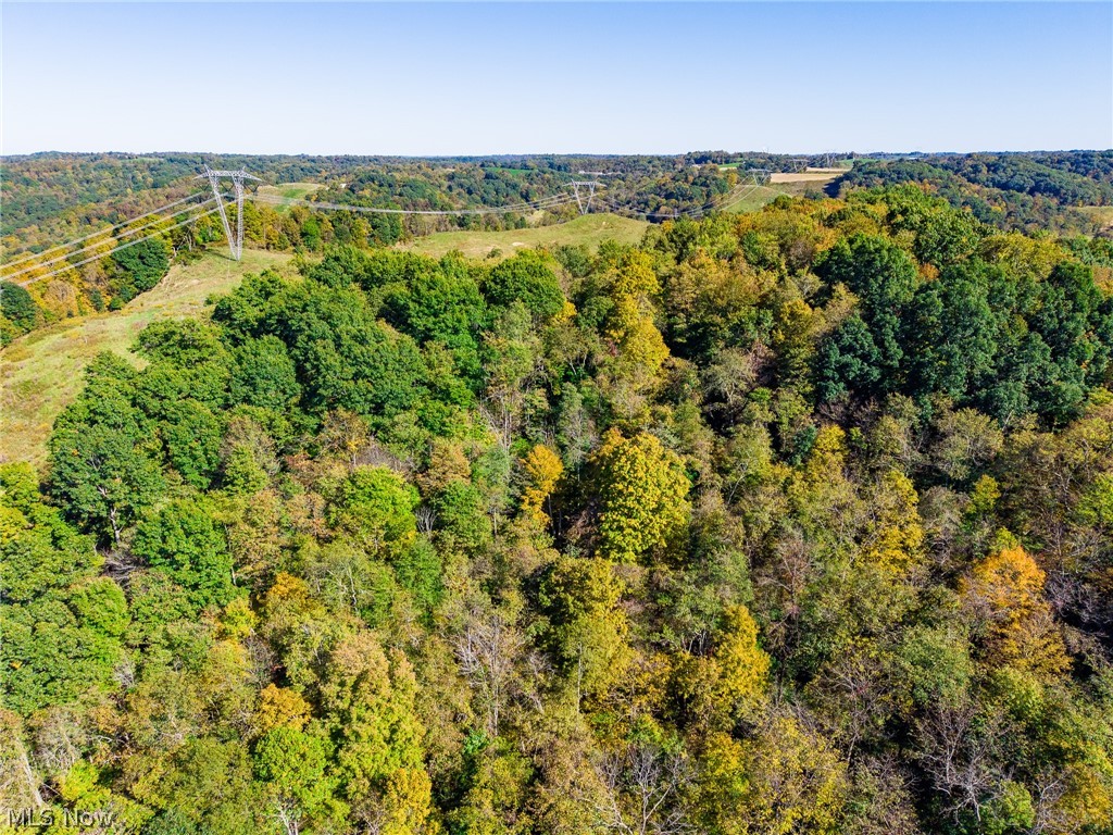 Crabapple Road Alledonia OH 43902