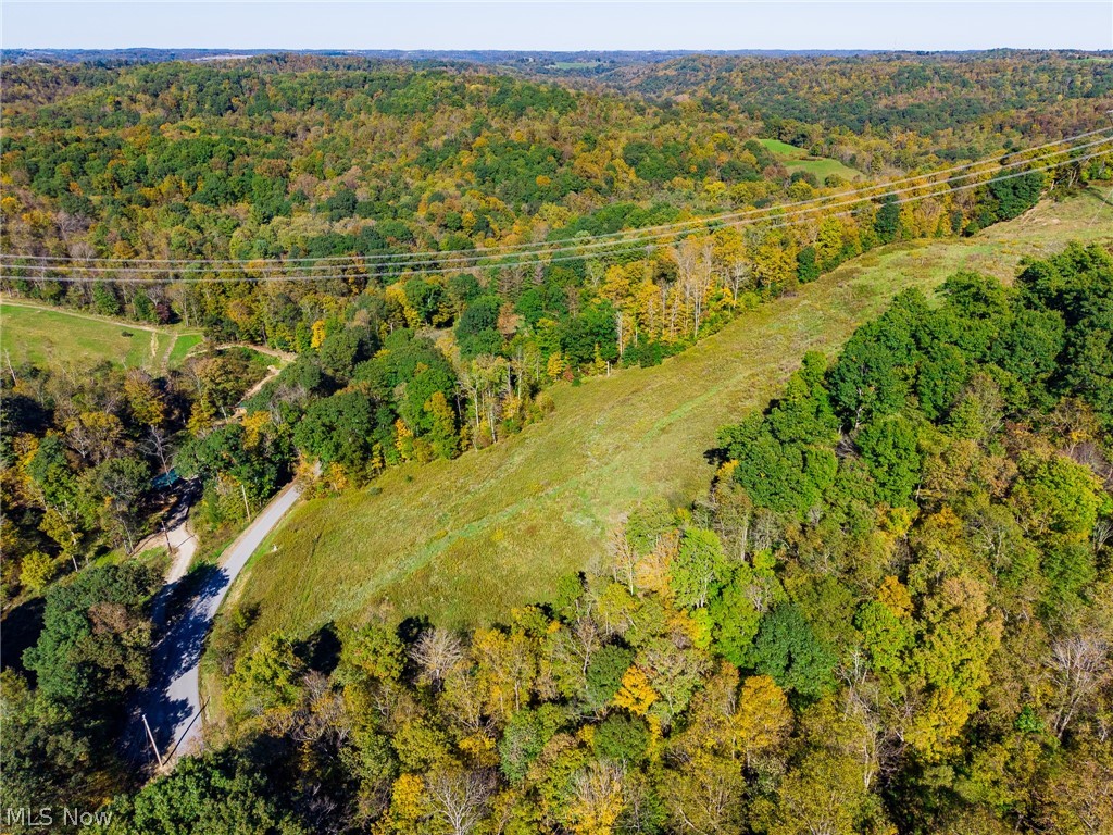 Crabapple Road Alledonia OH 43902